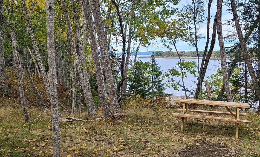 Morse Cove thumb Img Morse Scaled 2000x660