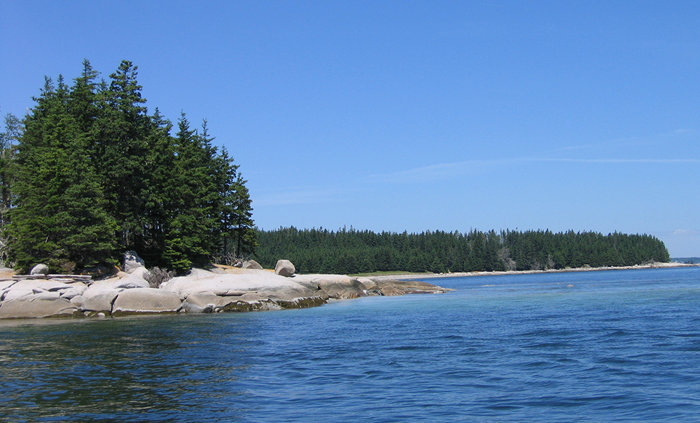 Neds Point Inset img Point0018 1000x605