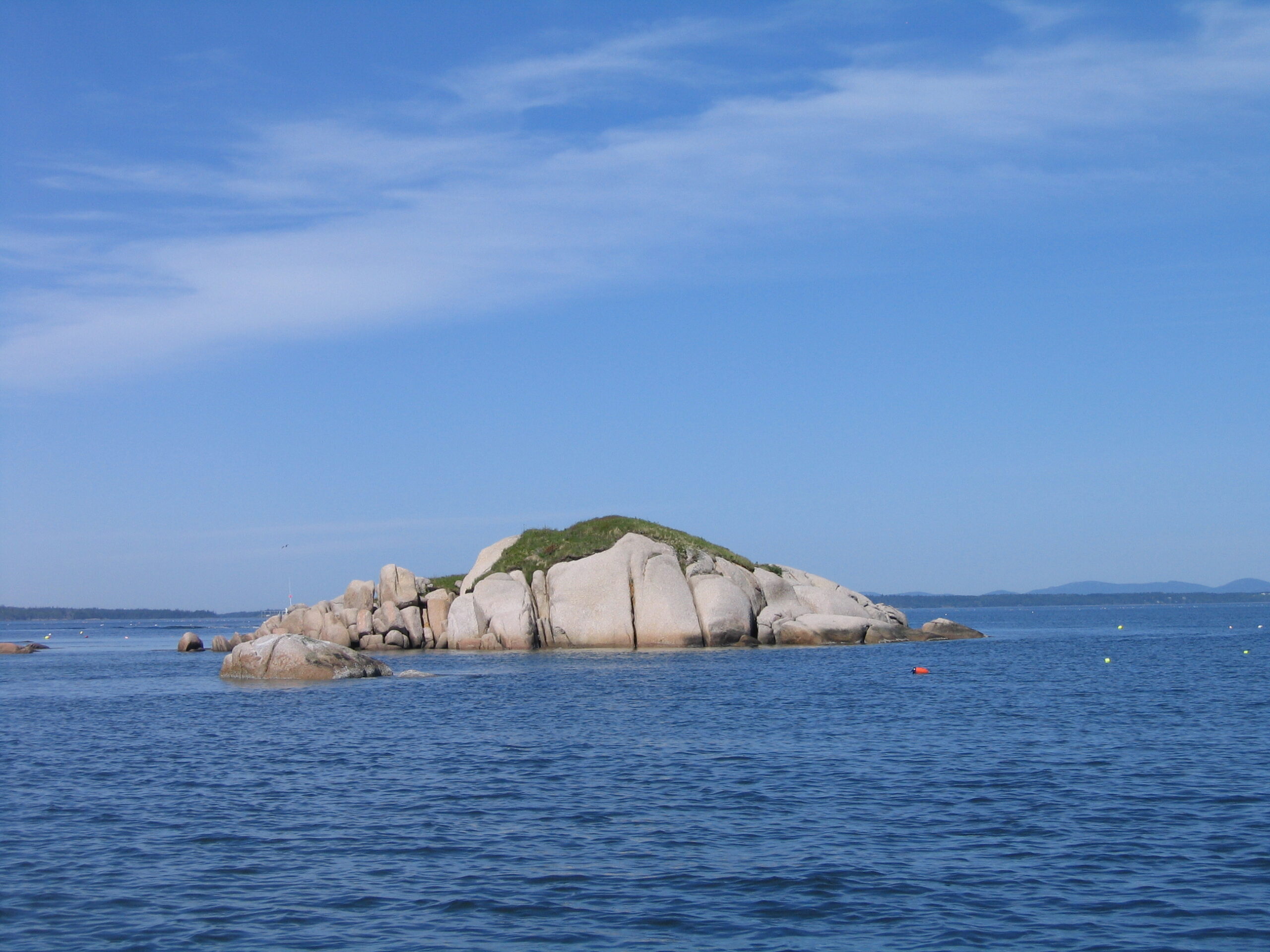 Neds Point0011