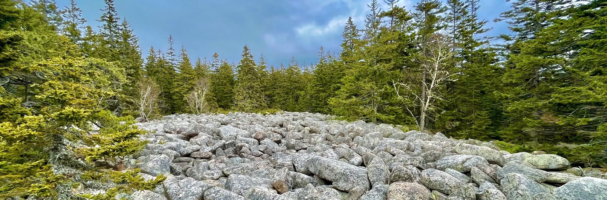 Noahs Ballast Header Img 3628 2000x660