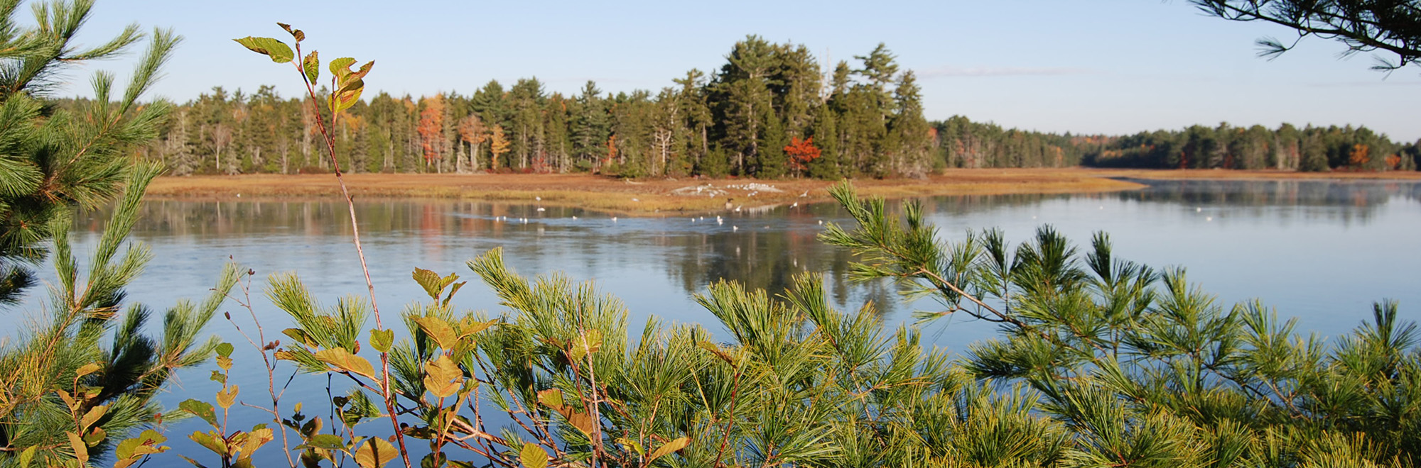 Old Pond Header Img 0048 2000x660