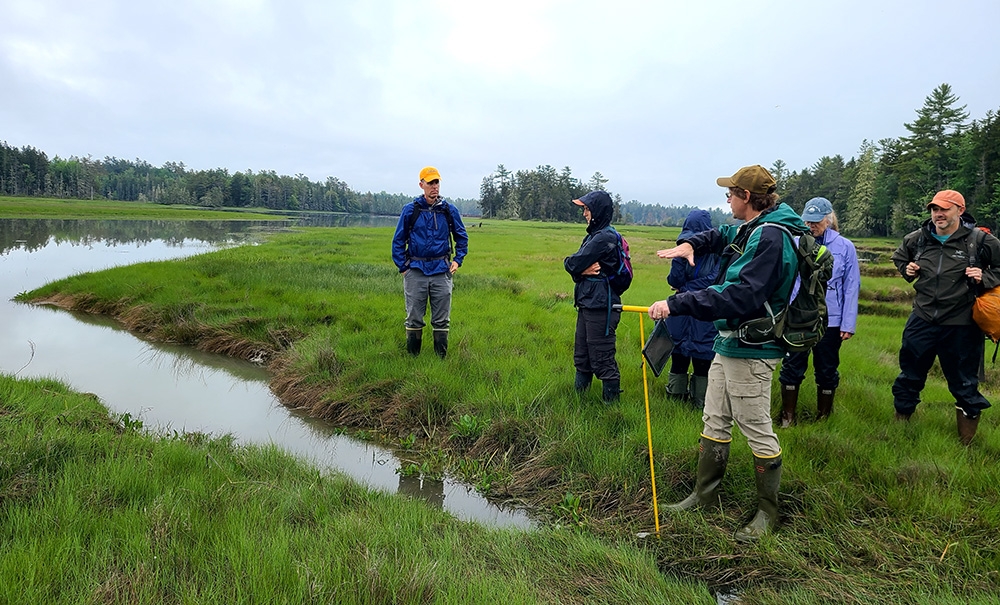 Old Pond Inset img 111055 1000x605