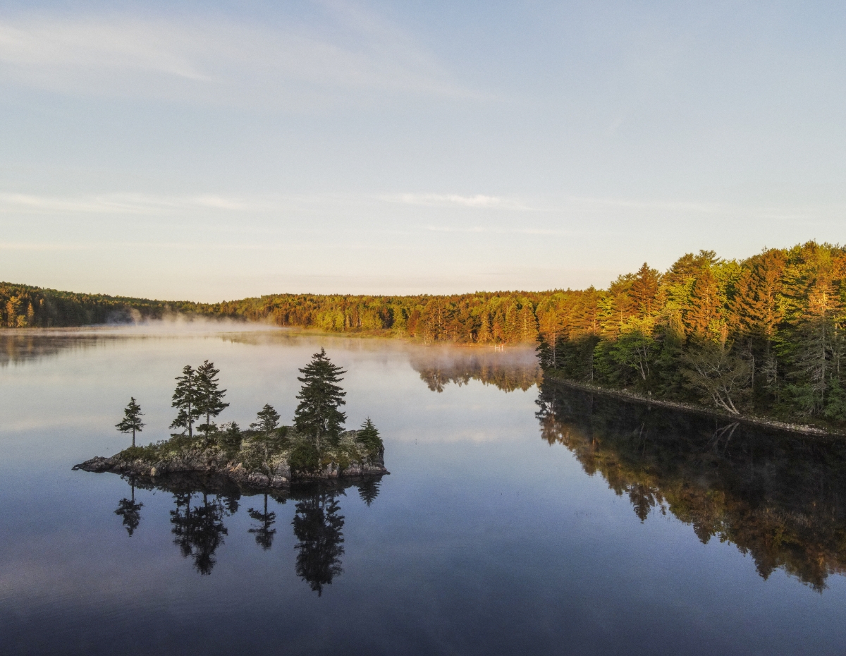 Our Partners 600x465