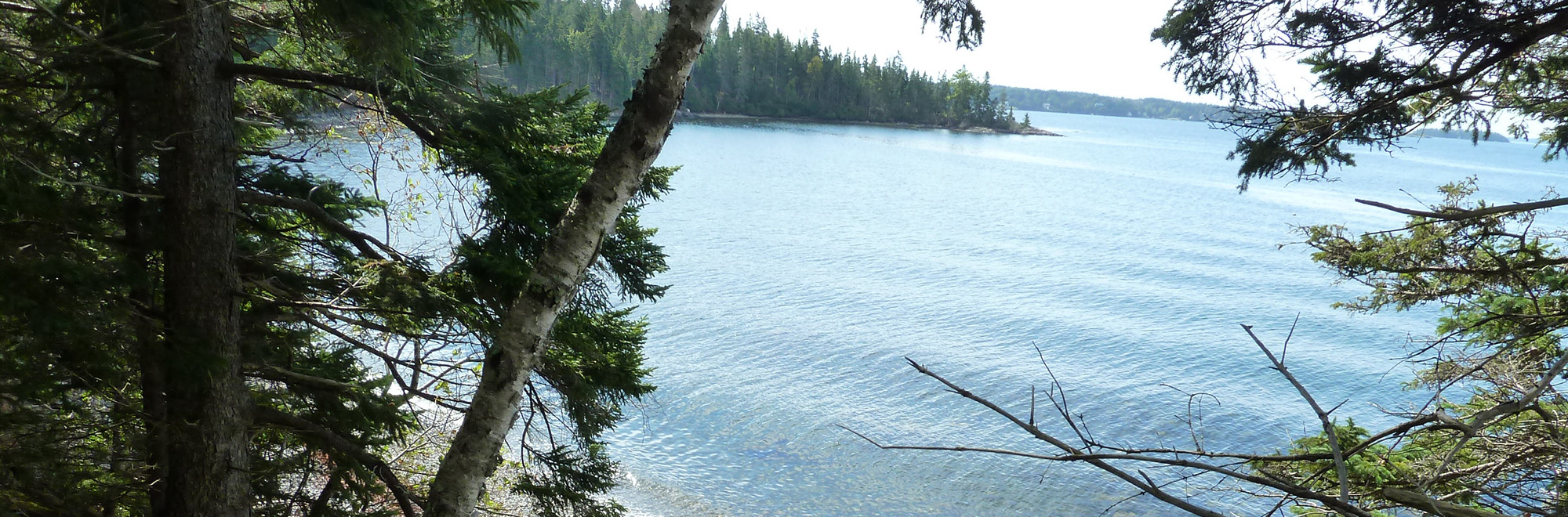 Pilot Point Header Img P1010118 2000x660