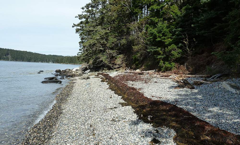 Pilot Point Inset img P1010120 1000x605