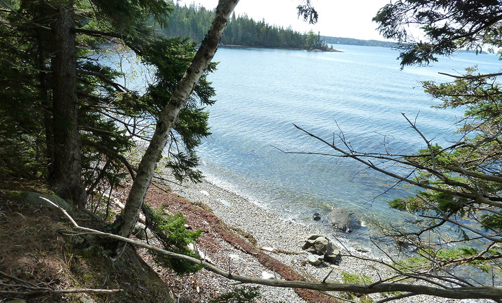 Pilot Point Thumb img P1010118 1000x605