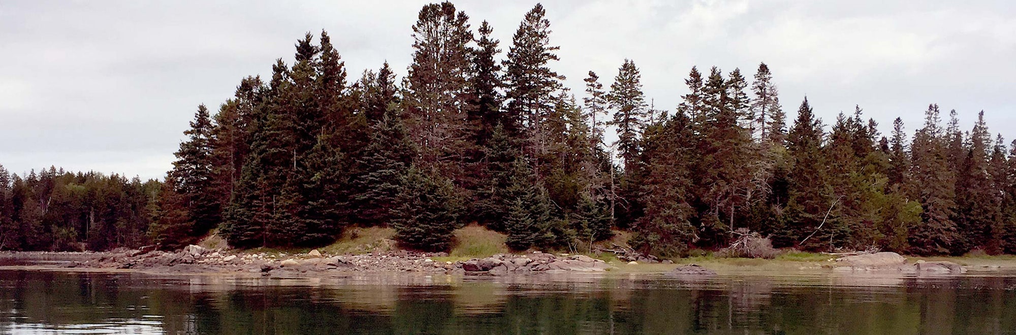 Pinkham Island Header Img 2214 2000x660