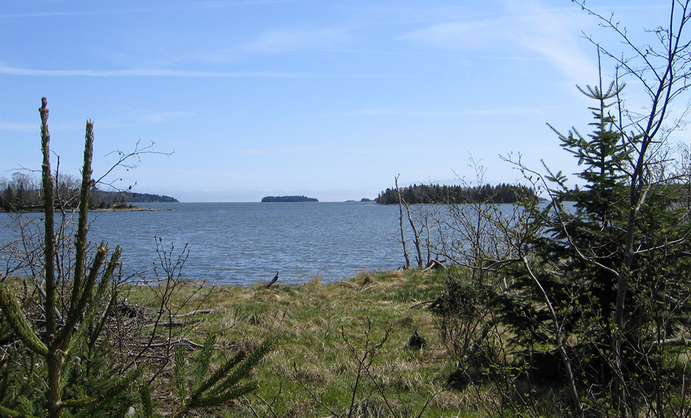 Pinkham Island Inset img view1 1000x605