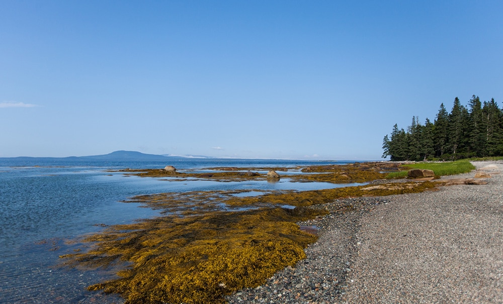 Pond Island French Thumb img 48 1000x605