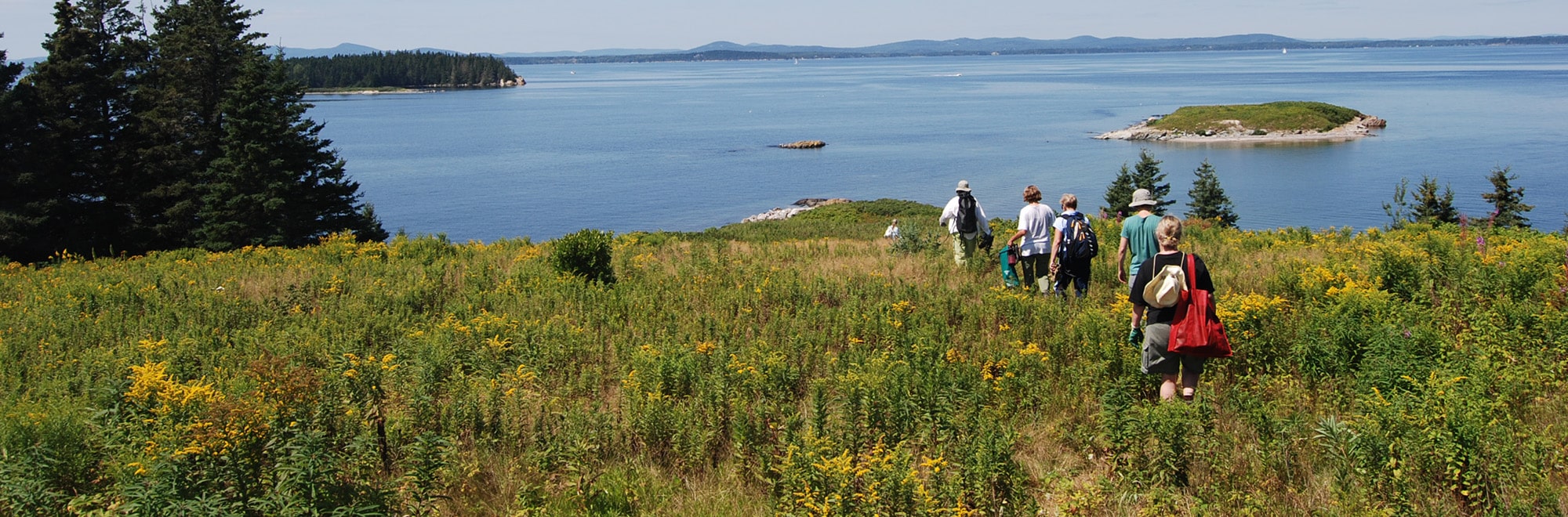Pond Island Header Img 0139 2000x660