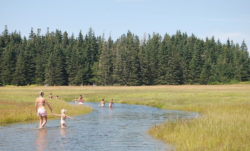 Pond Island Inset img 0289 1000x605
