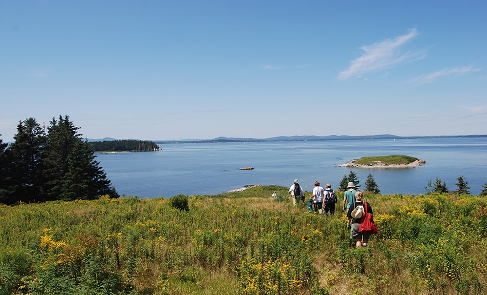 Pond Island Thumb img 0139 1000x605