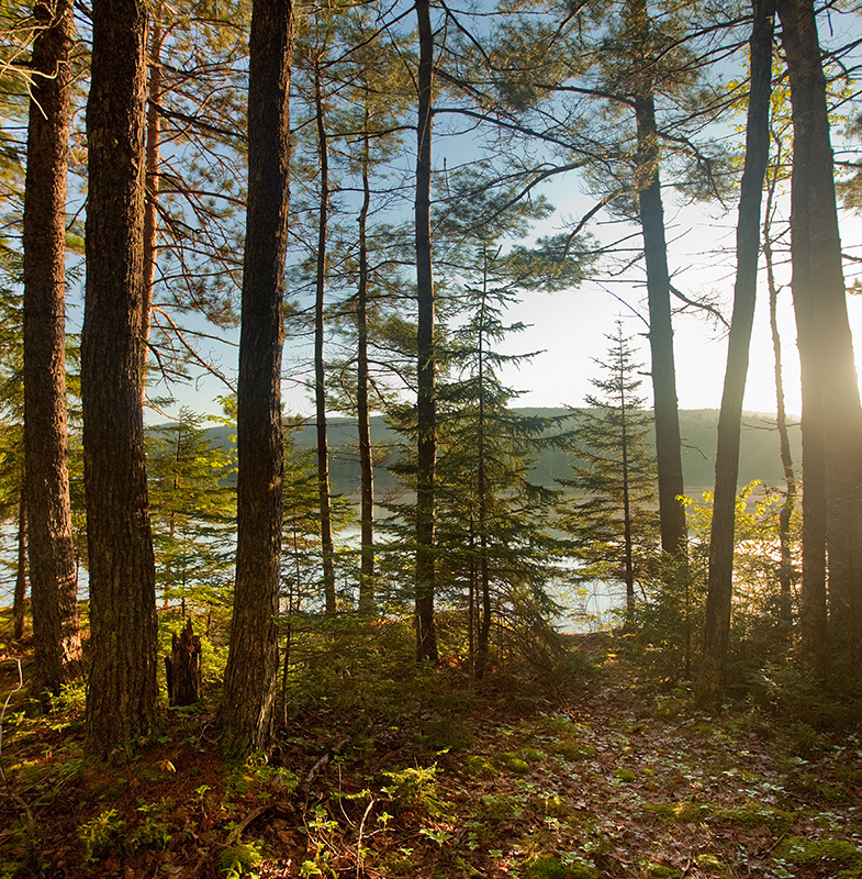 Preserves Header 1 Mobile 785x800