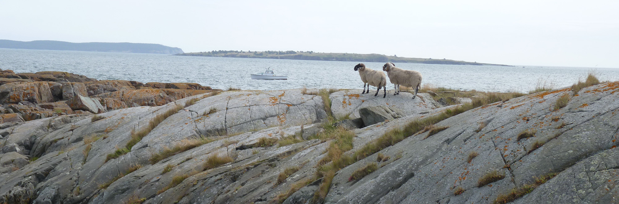Ram Island Header Img ramisland02 2000x660