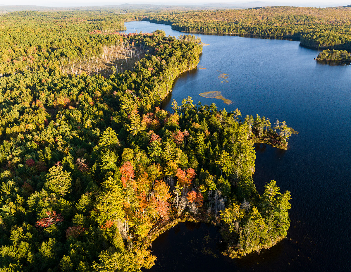 Rivers Feature 600x465 Monkman