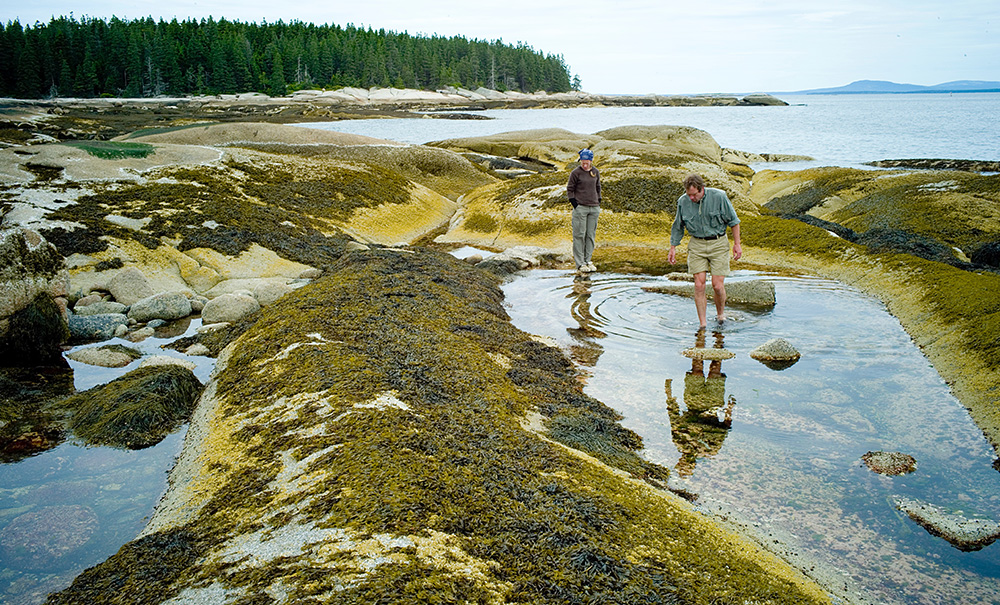 Saddleback Inset img 099 1000x605