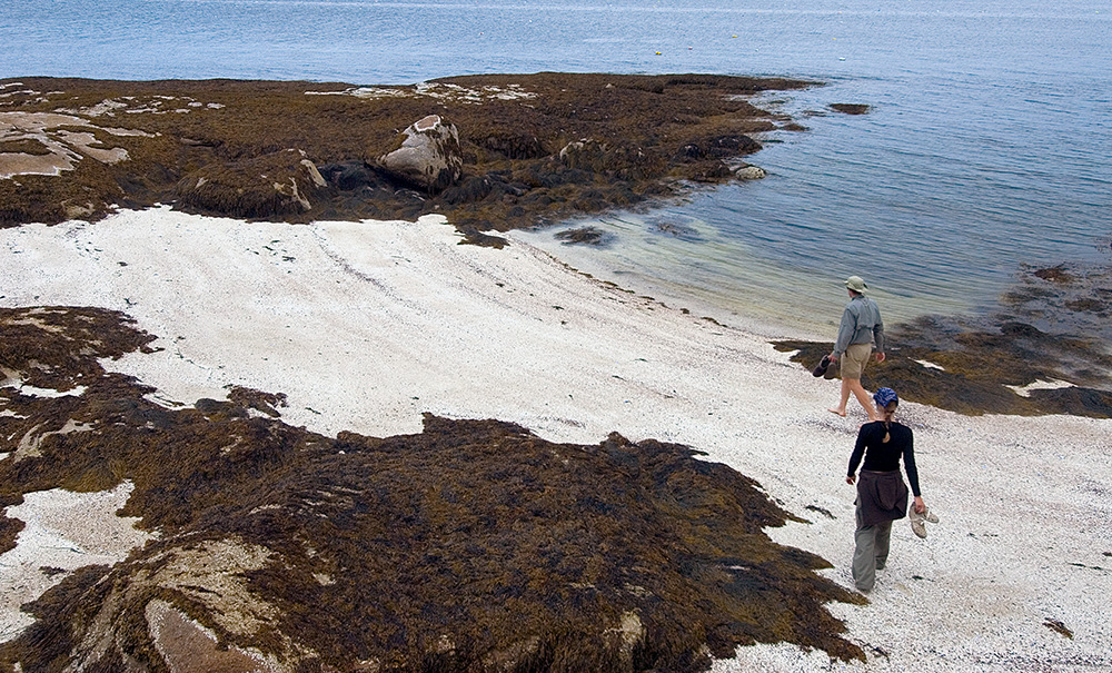 Saddleback Inset img 129 1000x605