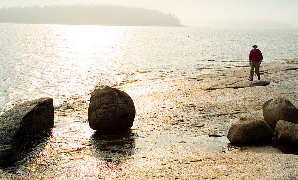 Saddleback thumb Img 103 1000x605