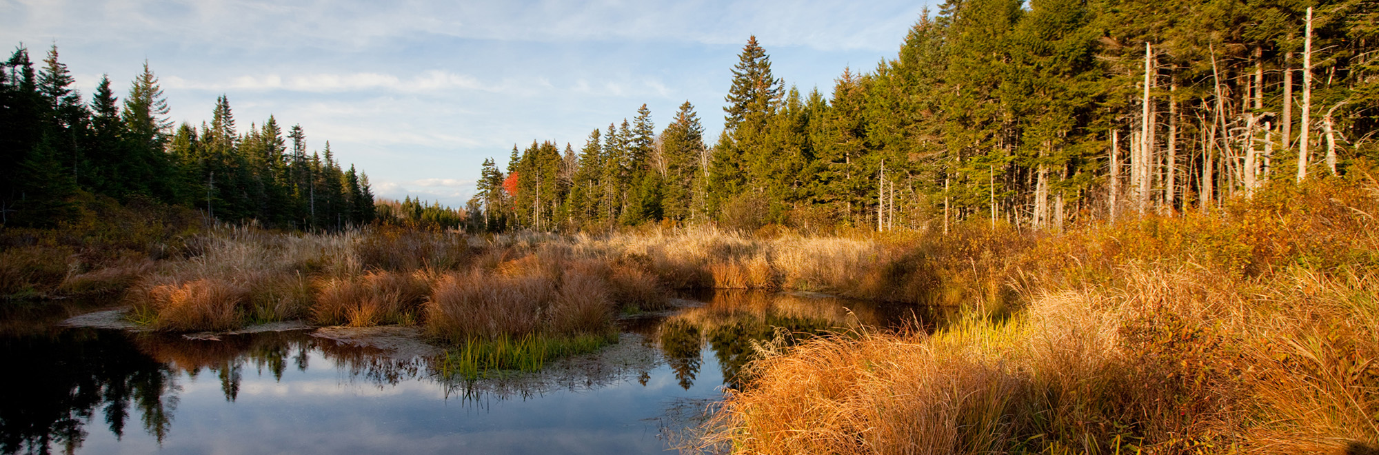 Schoodic Header Img Stream2 2000x660