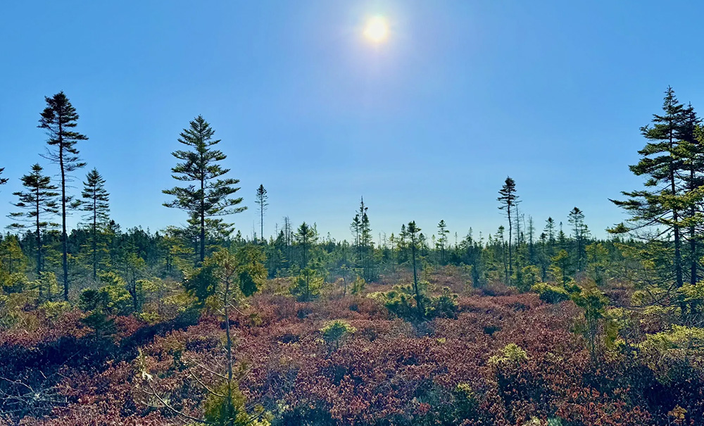 Schoodic Inset img schoodic 1 1000x605