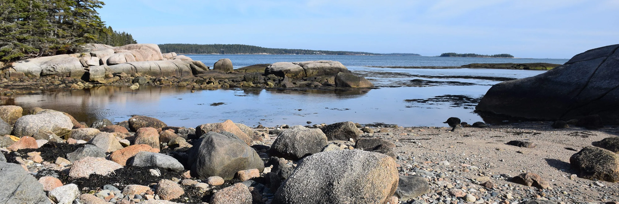 Seaduck Point Header Img 0089 2000x660