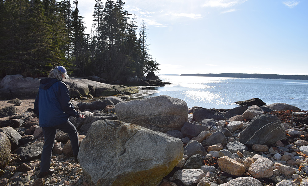 Seaduck Point Inset img 0080 1000x605