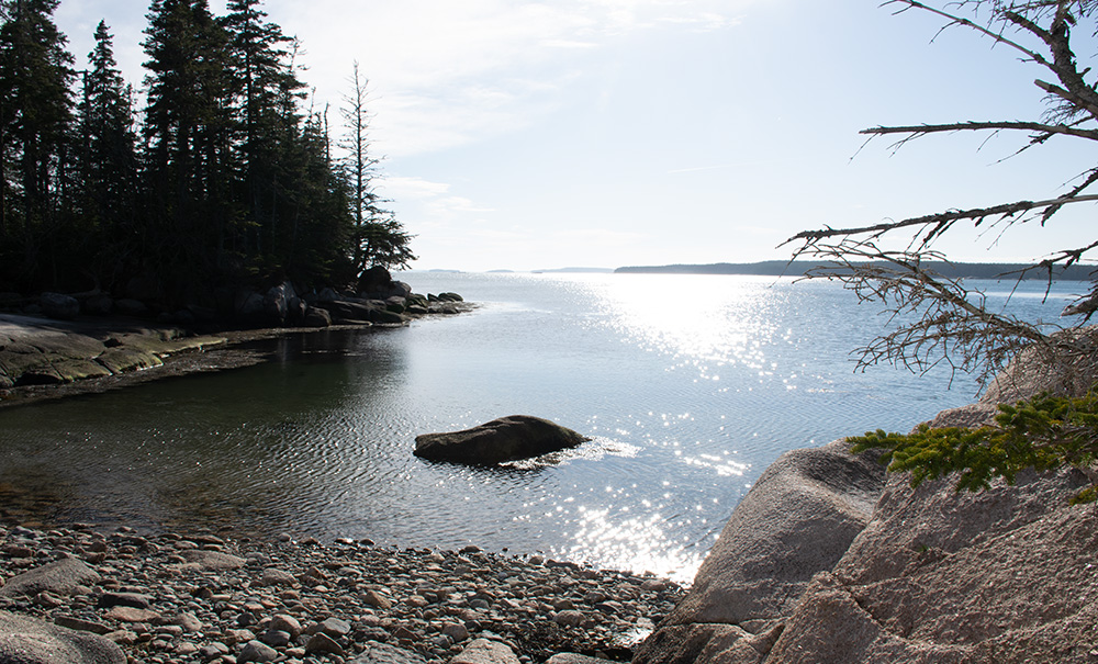 Seaduck Point Inset img 0091 1000x605
