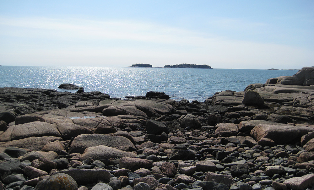 Shabbit Island Inset img Shabbit001 1000x605