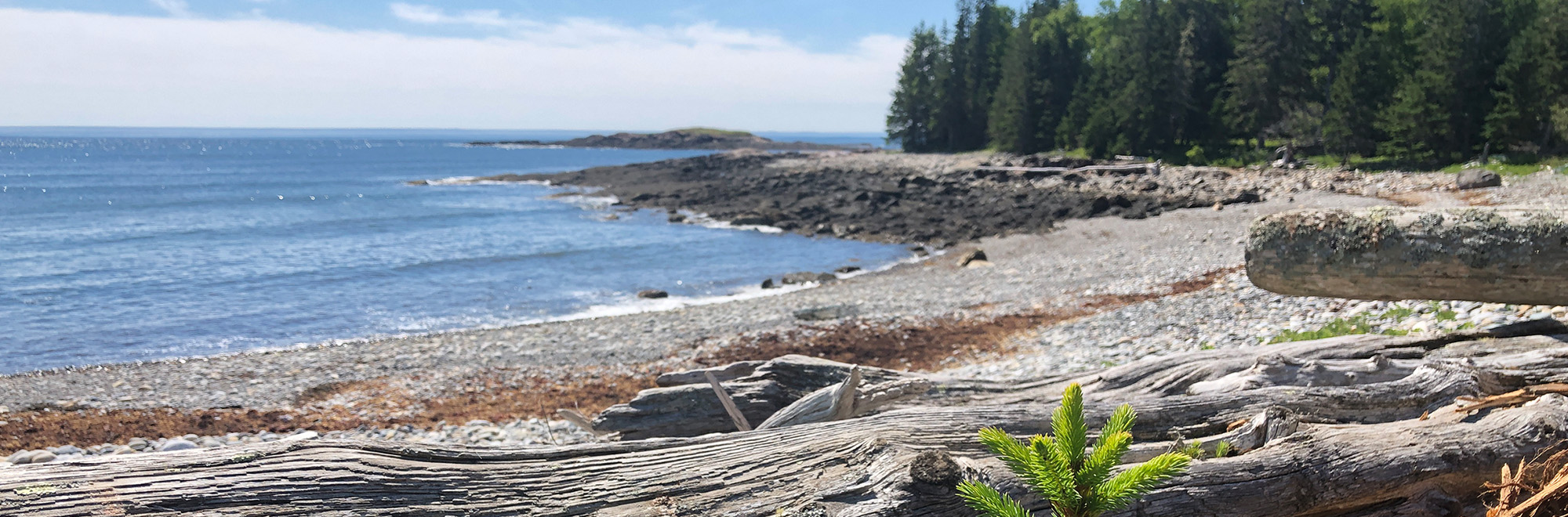 Sheep Island Header Img 2000x660