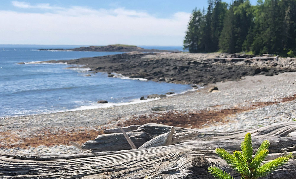 Sheep Island thumb Img 1000x605