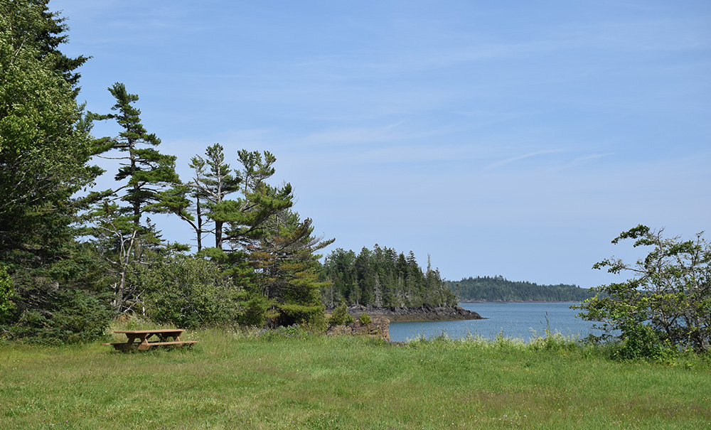 Sipps Bay Inset img 0274 1000x605