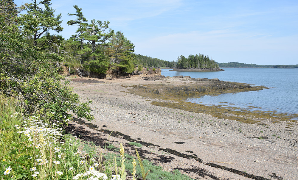 Sipps Bay Inset img DSC 0288 1000x605