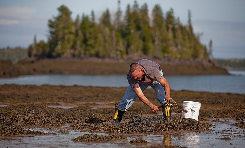 Sipps Bay Inset img SippBayClamming3 008 1000x605