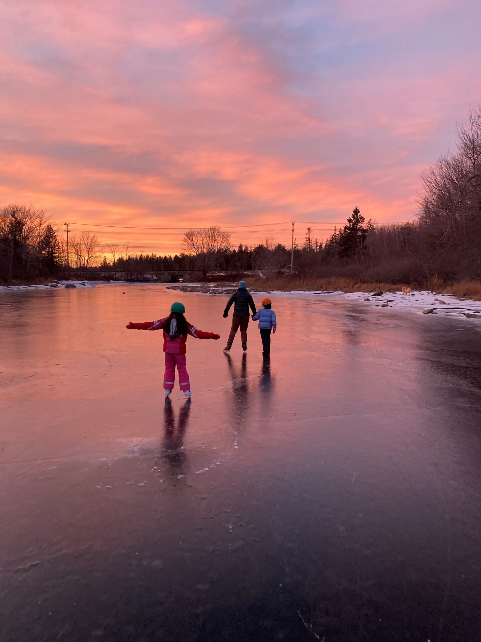 Skaters along conserved shoreline at Northeast Creek - photo credit to Nate Hanson
