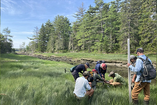 Statewide Leadership