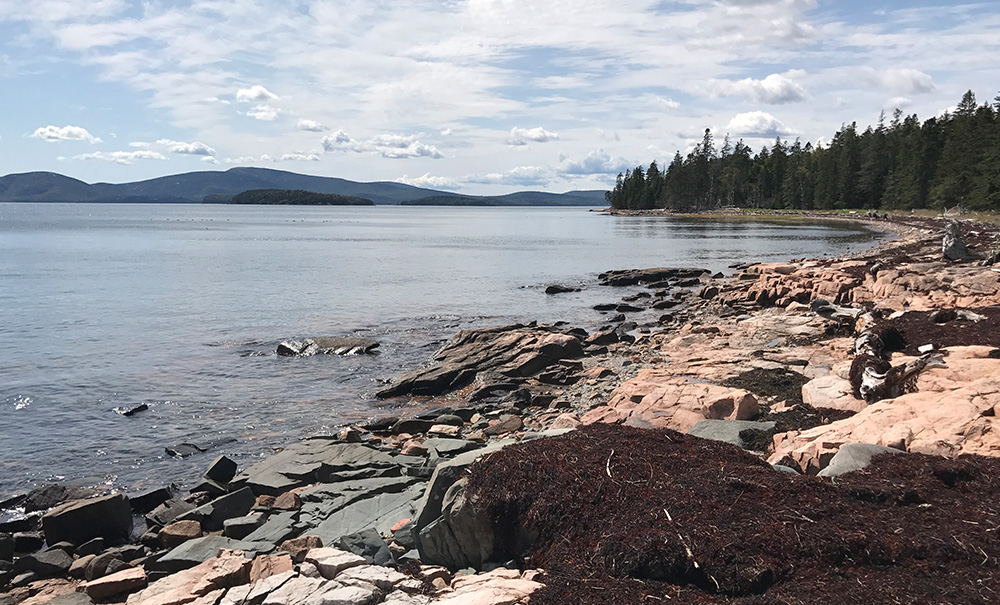 Stave Island Inset img 2285 1000x605