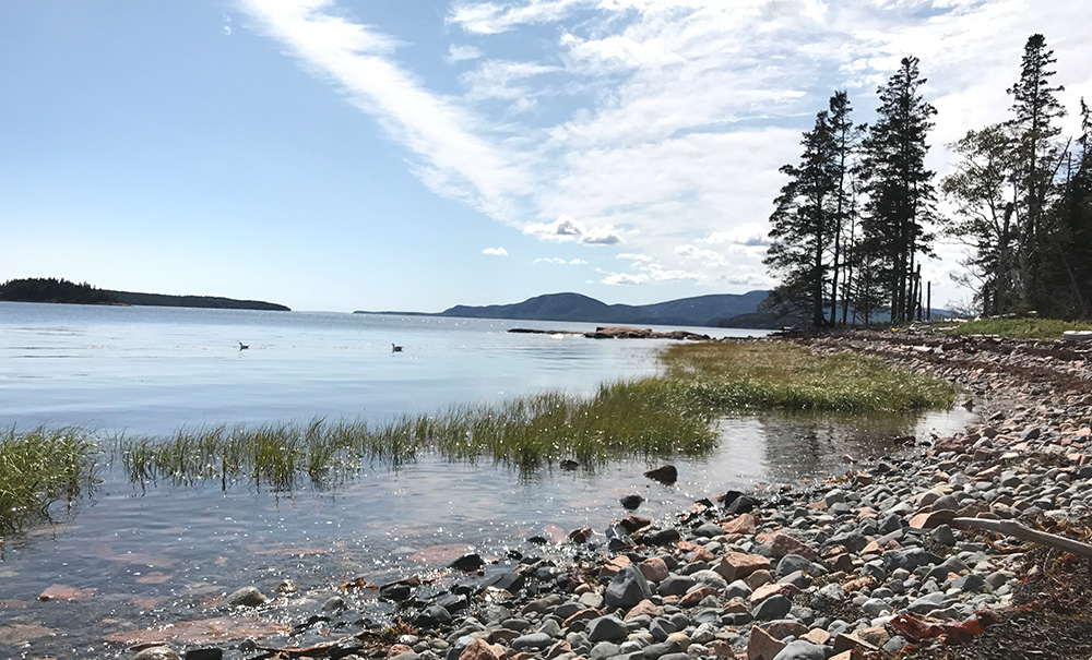 Stave Island Inset img 2324 1000x605