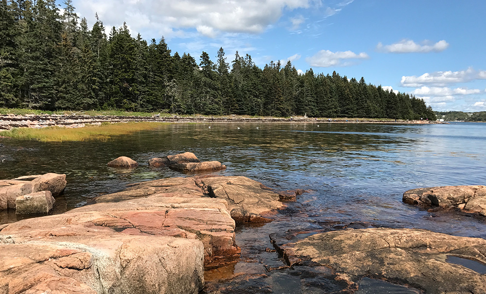 Stave Island Inset img 2337 1000x605