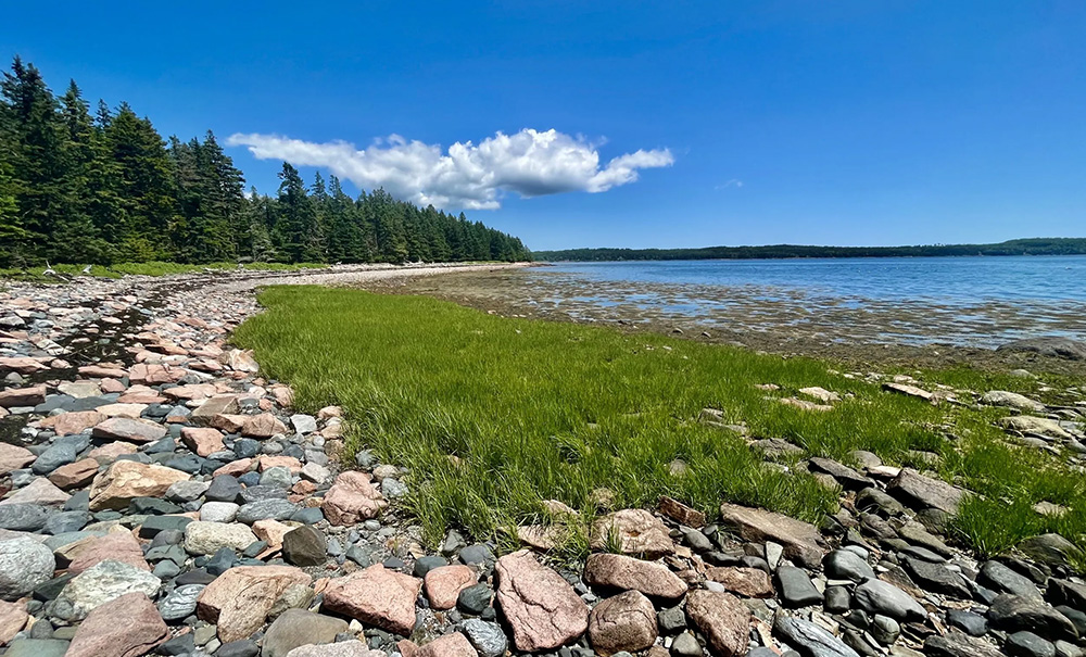 Stave Island Inset img 5188 1000x605