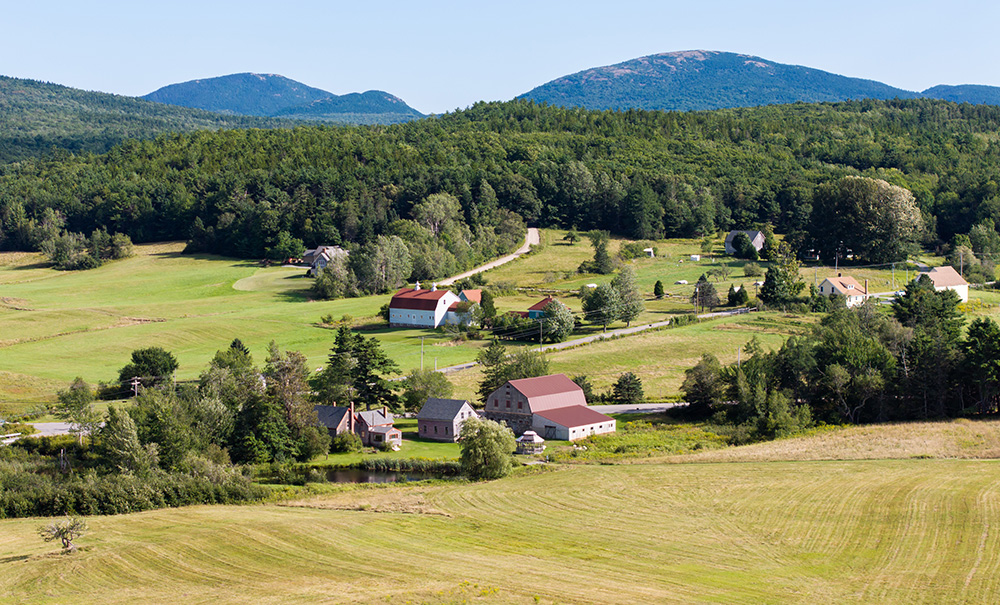 Stone Barn Farm Inset img 0355 1000x605