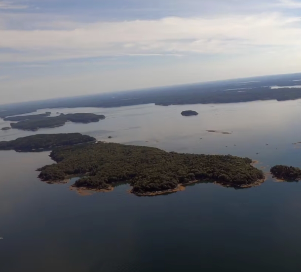 The Goslings 305x275