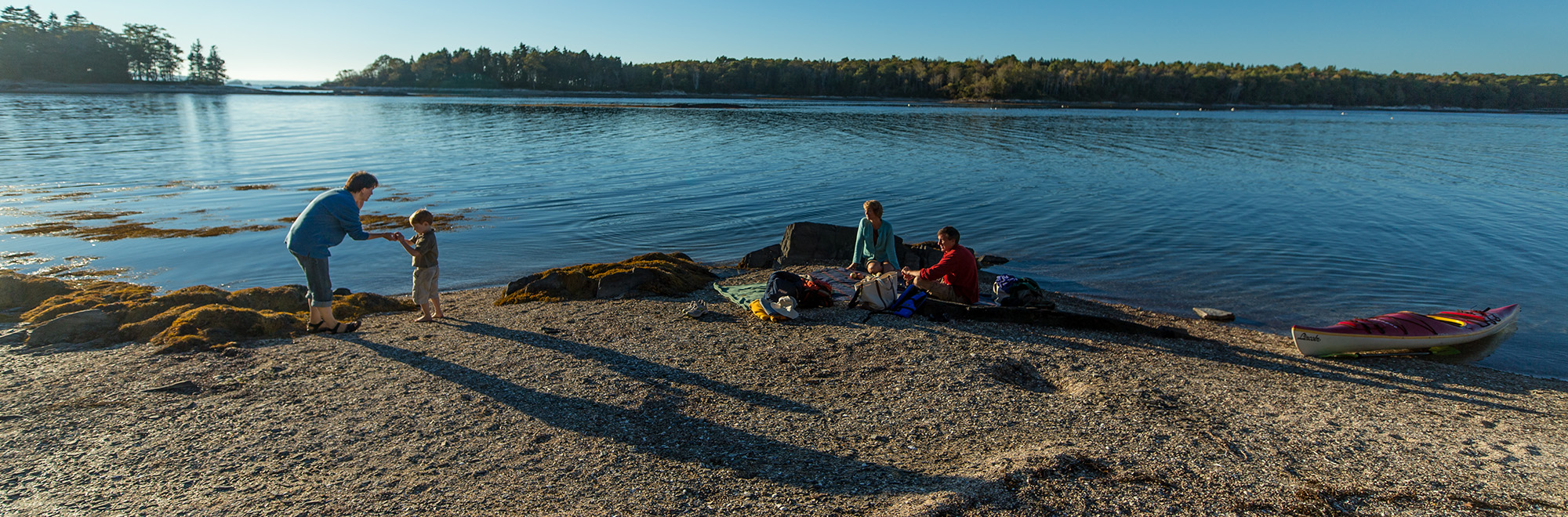 The Goslings Header Img 102013 2000x660