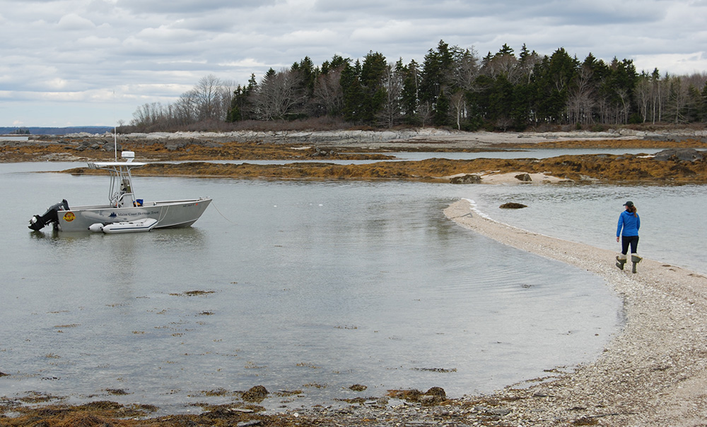 The Goslings Inset img 0034 1000x605