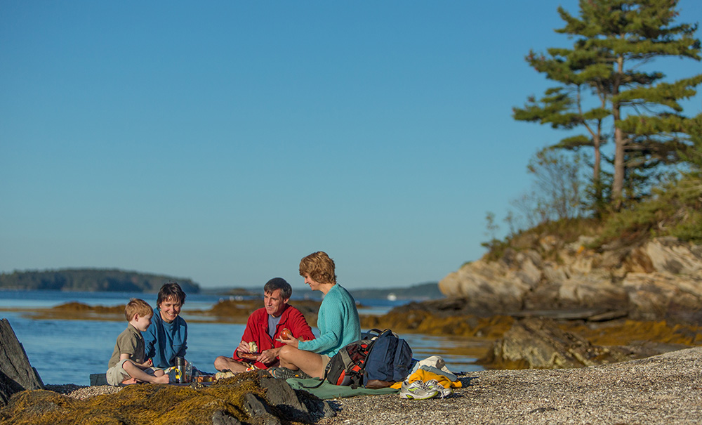 The Goslings Inset img 102013 1000x605