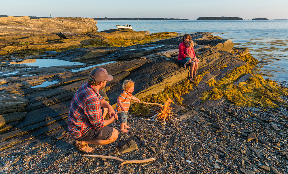 The Goslings Inset img 20211213214926467 1000x605