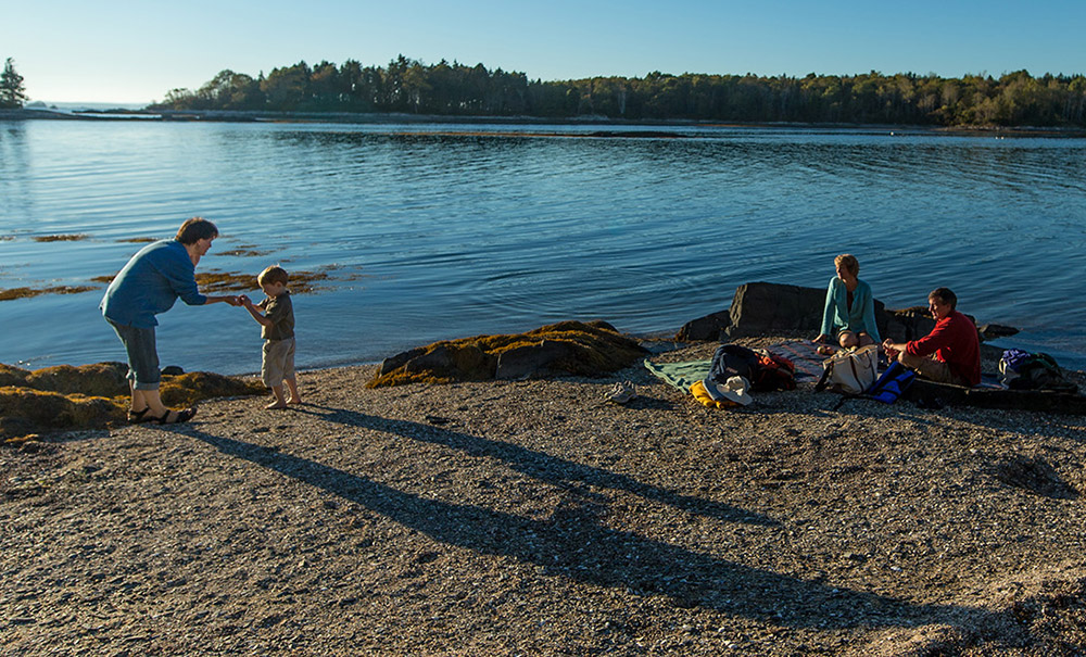 The Goslings thumb Img 102013 2000x660