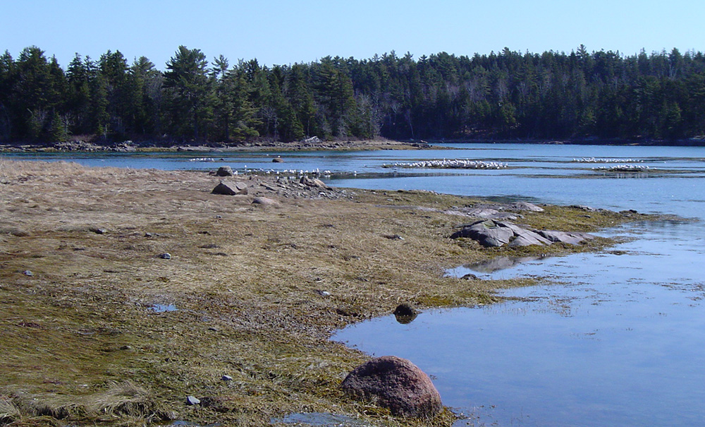 Thomas Island Inset Img 4 08 1000x605
