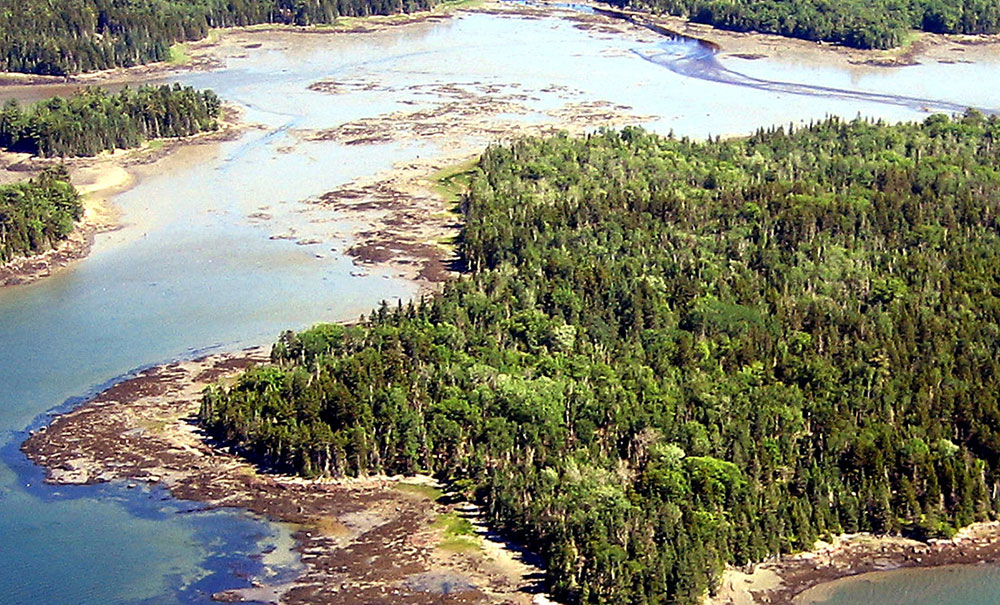 Thomas Island thumb Img Thomas Island 1000x605