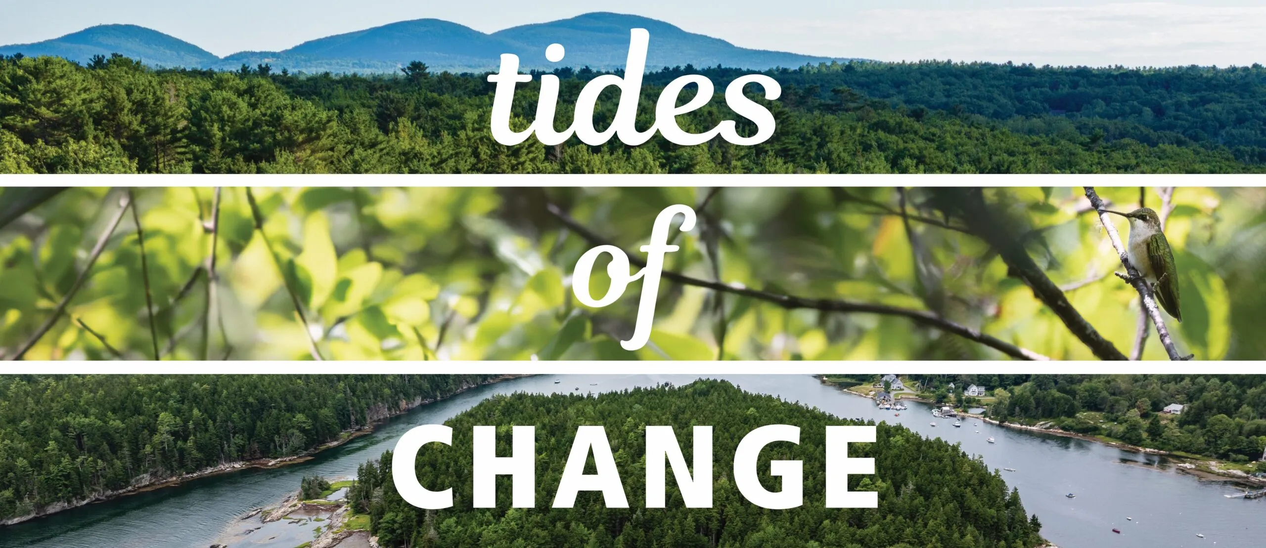 Tides of Change Header 1 scaled