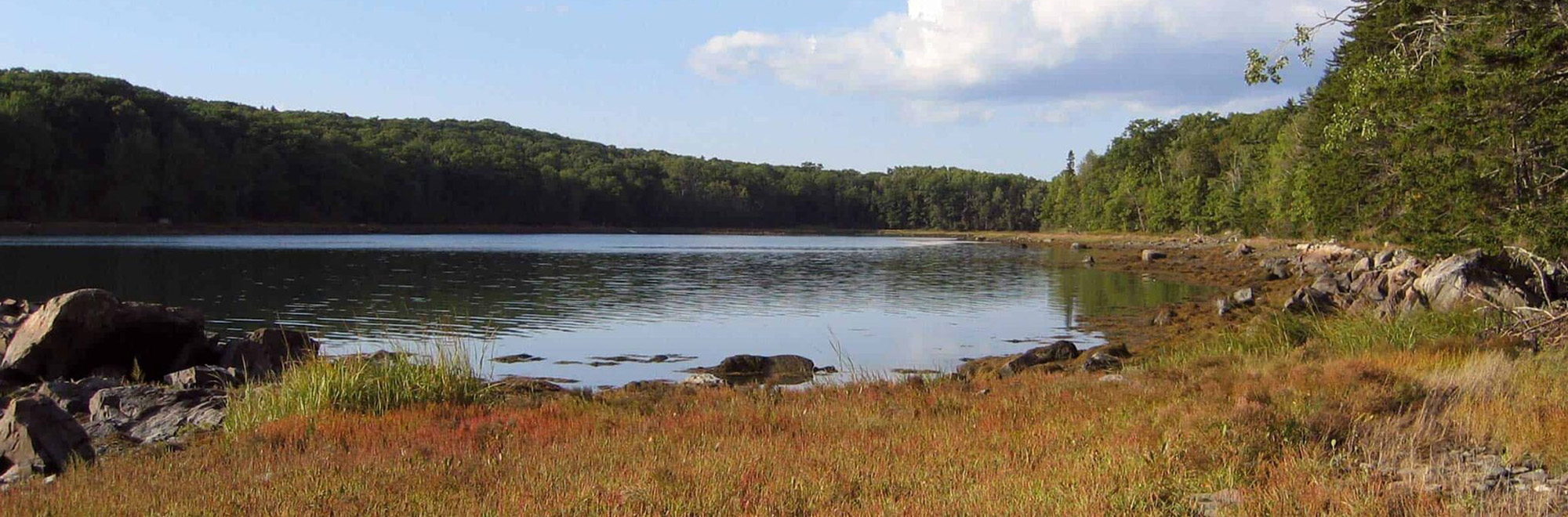 Tills Point Header Img tillspt0003 2000x660